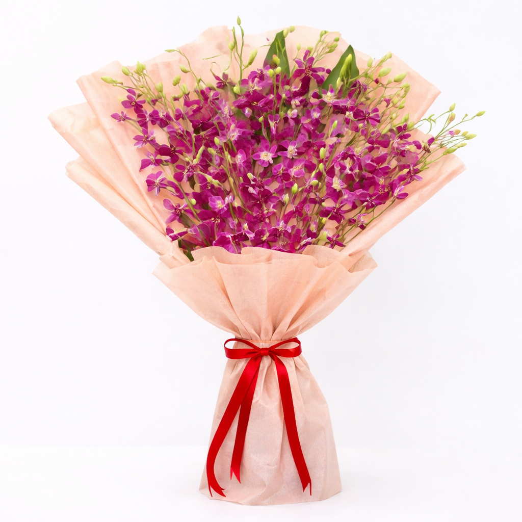Orchid Bloom Elegance