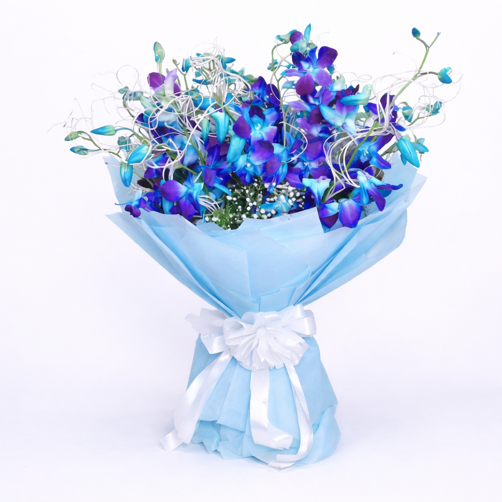 Aqua Royal Orchid Bloom