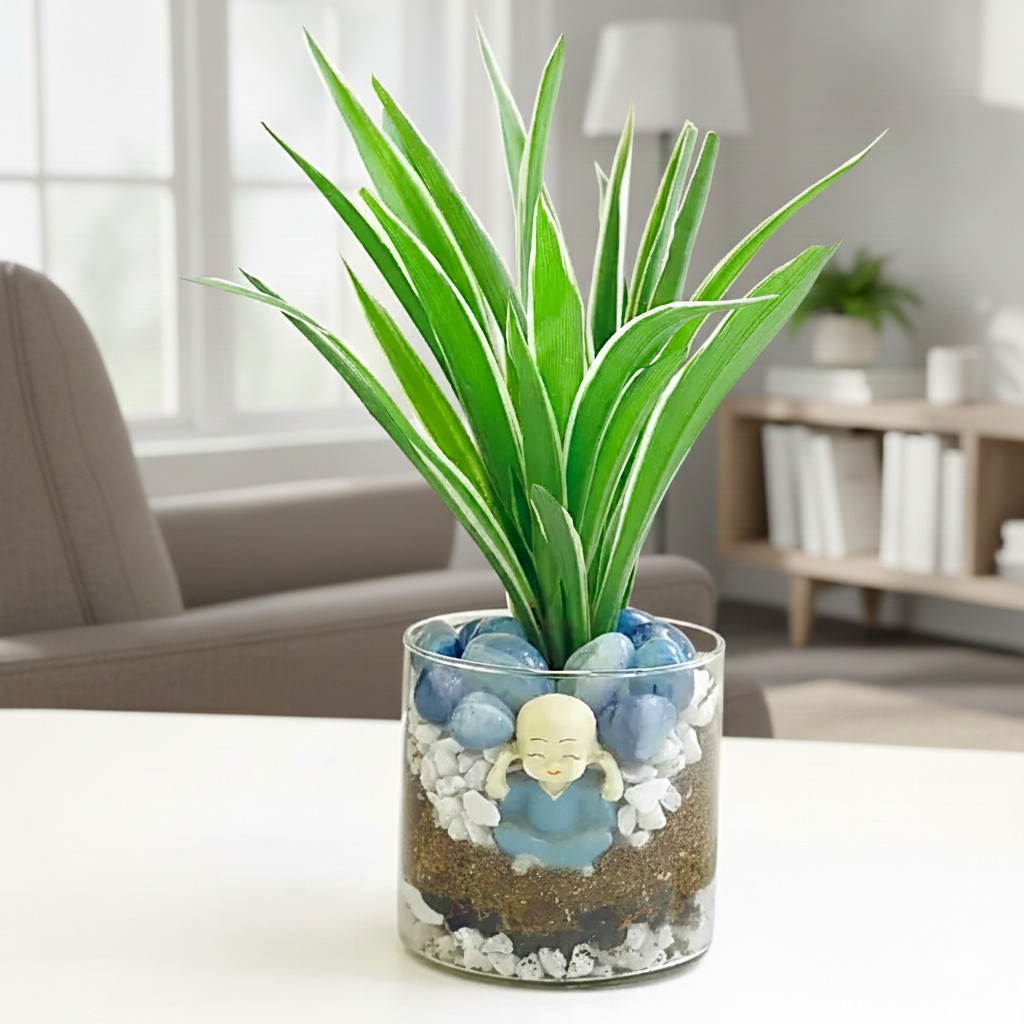 Spider Plant Cylindrical Vase Terrarium