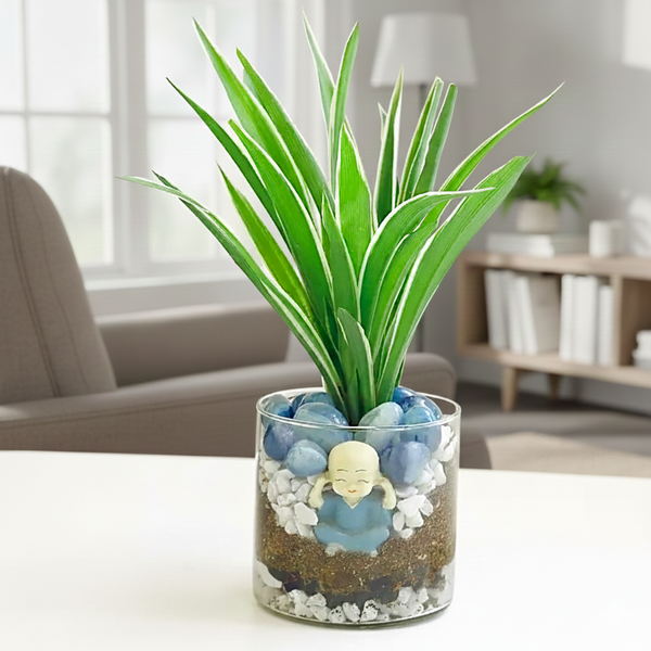 Spider Plant Cylindrical Vase Terrarium