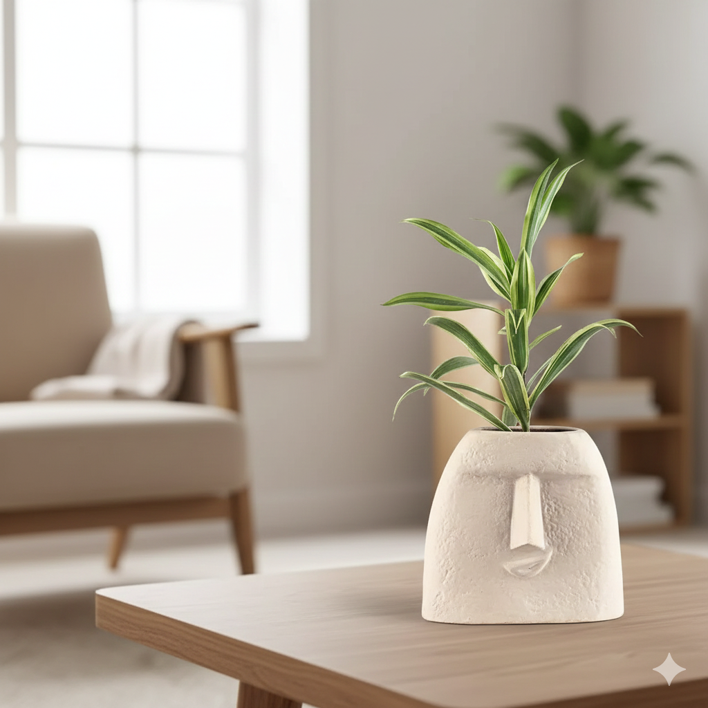 Elegance of Song of India Plant in Face Pot