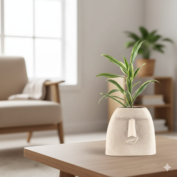 Elegance of Song of India Plant in Face Pot