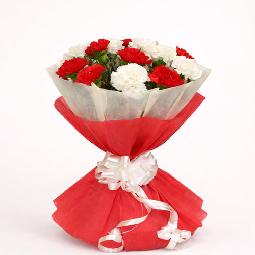 Red & White Carnation Bouquet